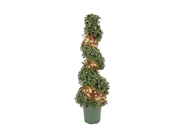 National Tree Company 44" Prelit Artificial Boxwood Spiral Tree